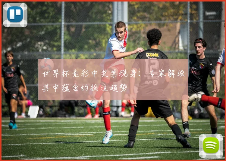 世界杯竞彩中奖票现身：专家解读其中蕴含的投注趋势