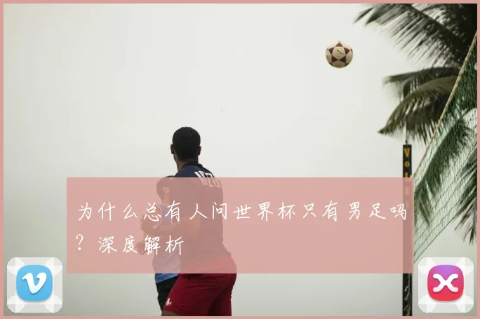 为什么总有人问世界杯只有男足吗?深度解析