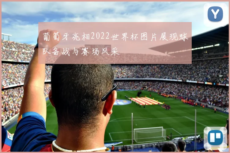 葡萄牙亮相2022世界杯图片展现球队备战与赛场风采