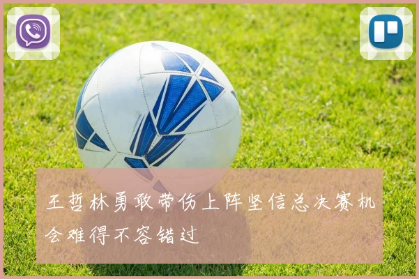 王哲林勇敢带伤上阵坚信总决赛机会难得不容错过