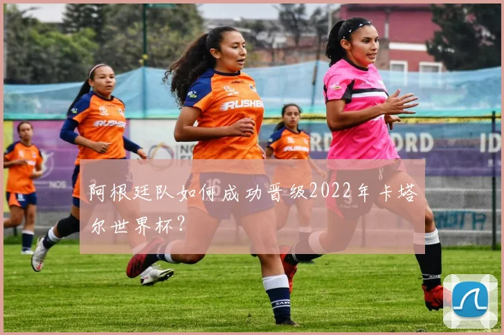 阿根廷队如何成功晋级2022年卡塔尔世界杯？