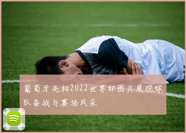 葡萄牙亮相2022世界杯图片展现球队备战与赛场风采