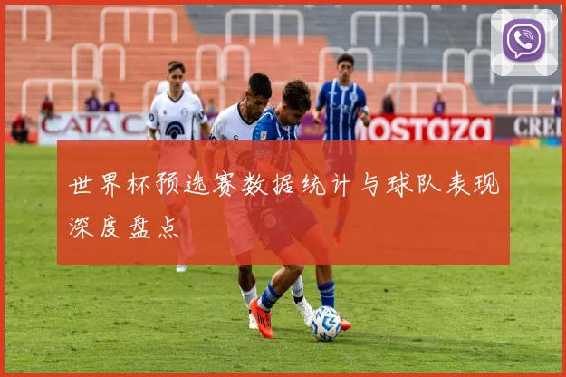 世界杯预选赛数据统计与球队表现深度盘点