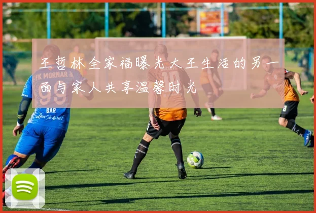 王哲林全家福曝光大王生活的另一面与家人共享温馨时光