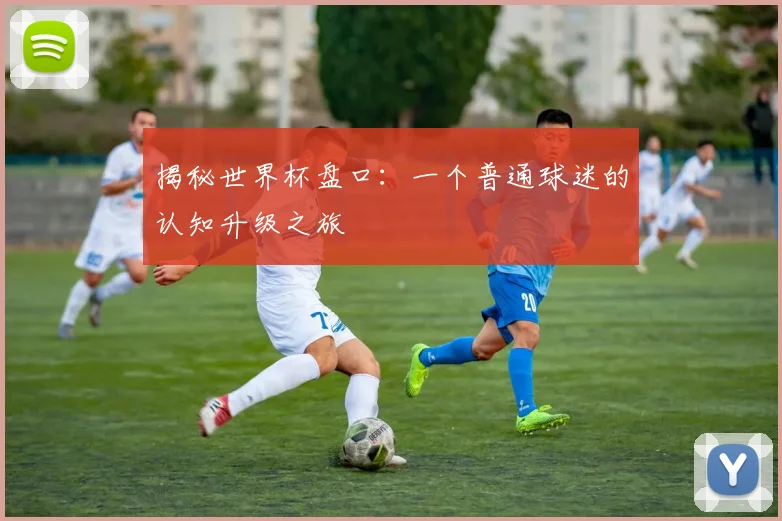 揭秘世界杯盘口：一个普通球迷的认知升级之旅
