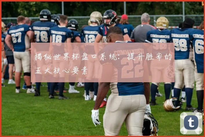 揭秘世界杯盘口系统：提升胜率的五大核心要素