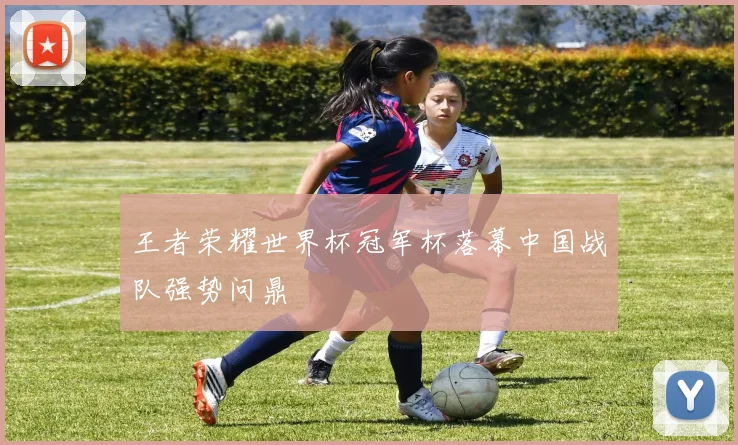 王者荣耀世界杯冠军杯落幕中国战队强势问鼎