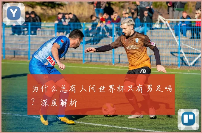 为什么总有人问世界杯只有男足吗？深度解析