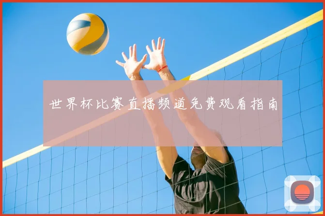 世界杯比赛直播频道免费观看指南